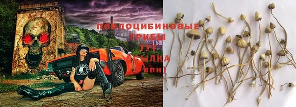 каннабис Каменка