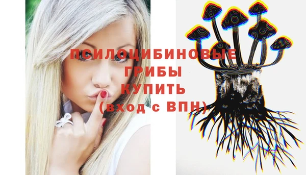 мдма Каменногорск