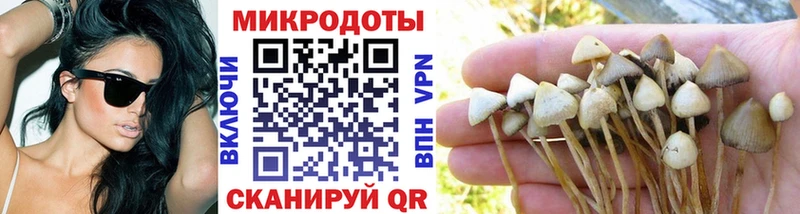 Галлюциногенные грибы мицелий  Купить  Ивангород 