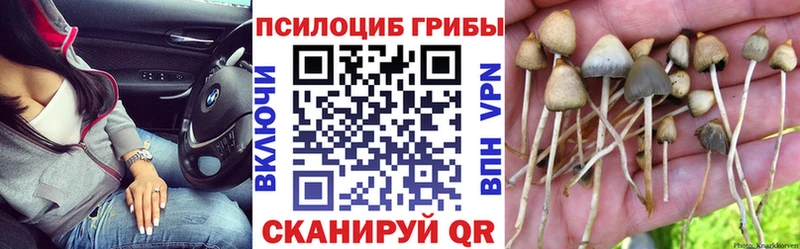 Галлюциногенные грибы MAGIC MUSHROOMS Ивангород